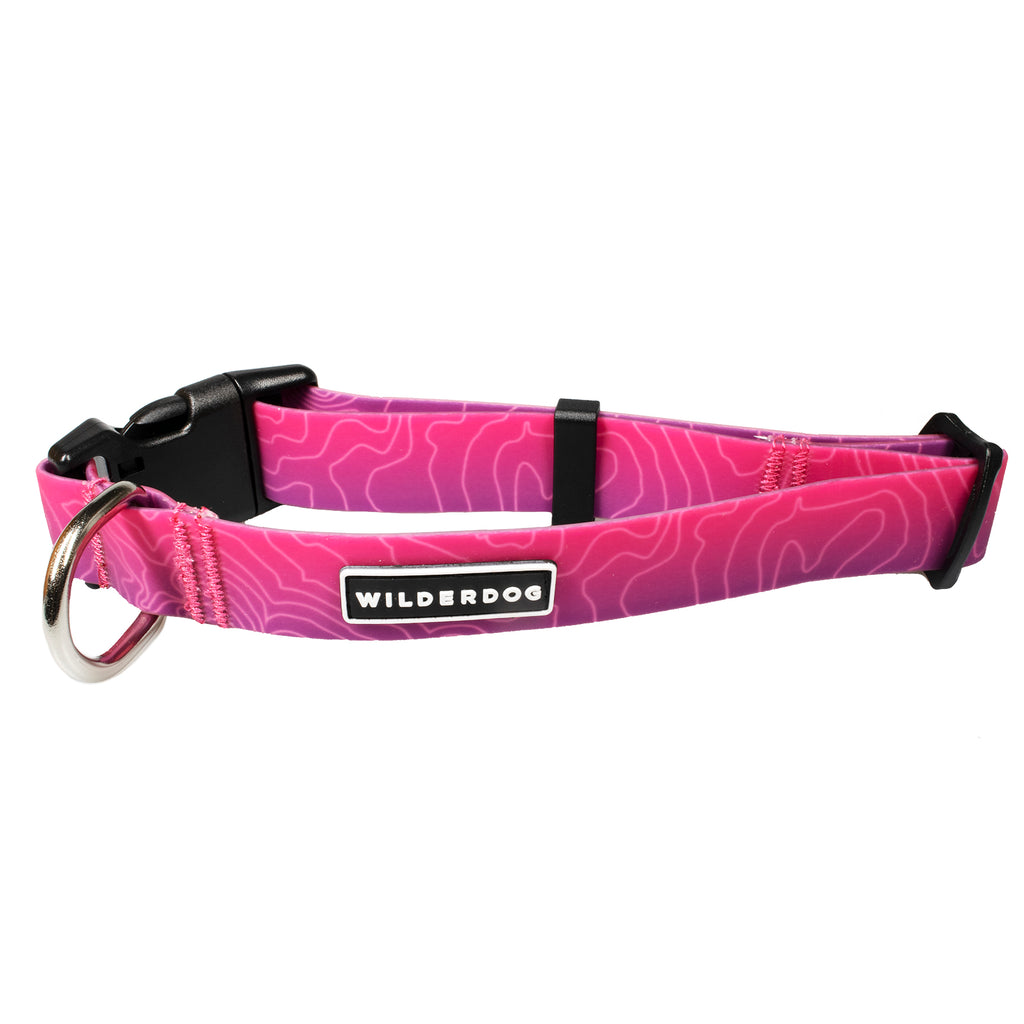 waterproof dog collar, berry, wilderdog